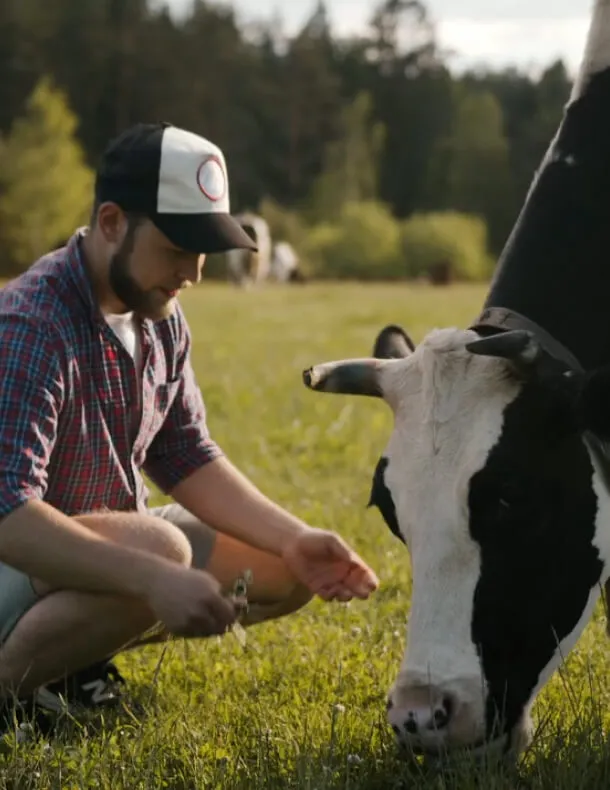 A man and a cow.